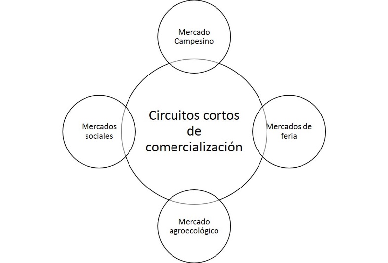 Relación semántica entre los términos guía de la revisión sistemática a partir del concepto de circuitos cortos de comercialización.